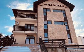 Pensiunea Magnolia