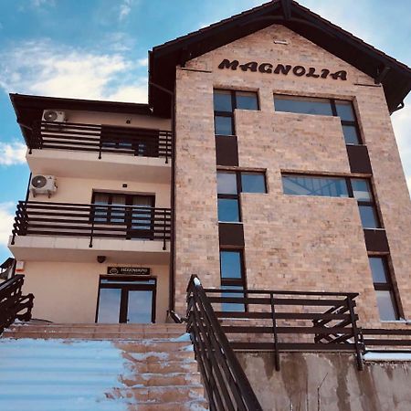 Pensiunea Magnolia Craiova Exterior foto