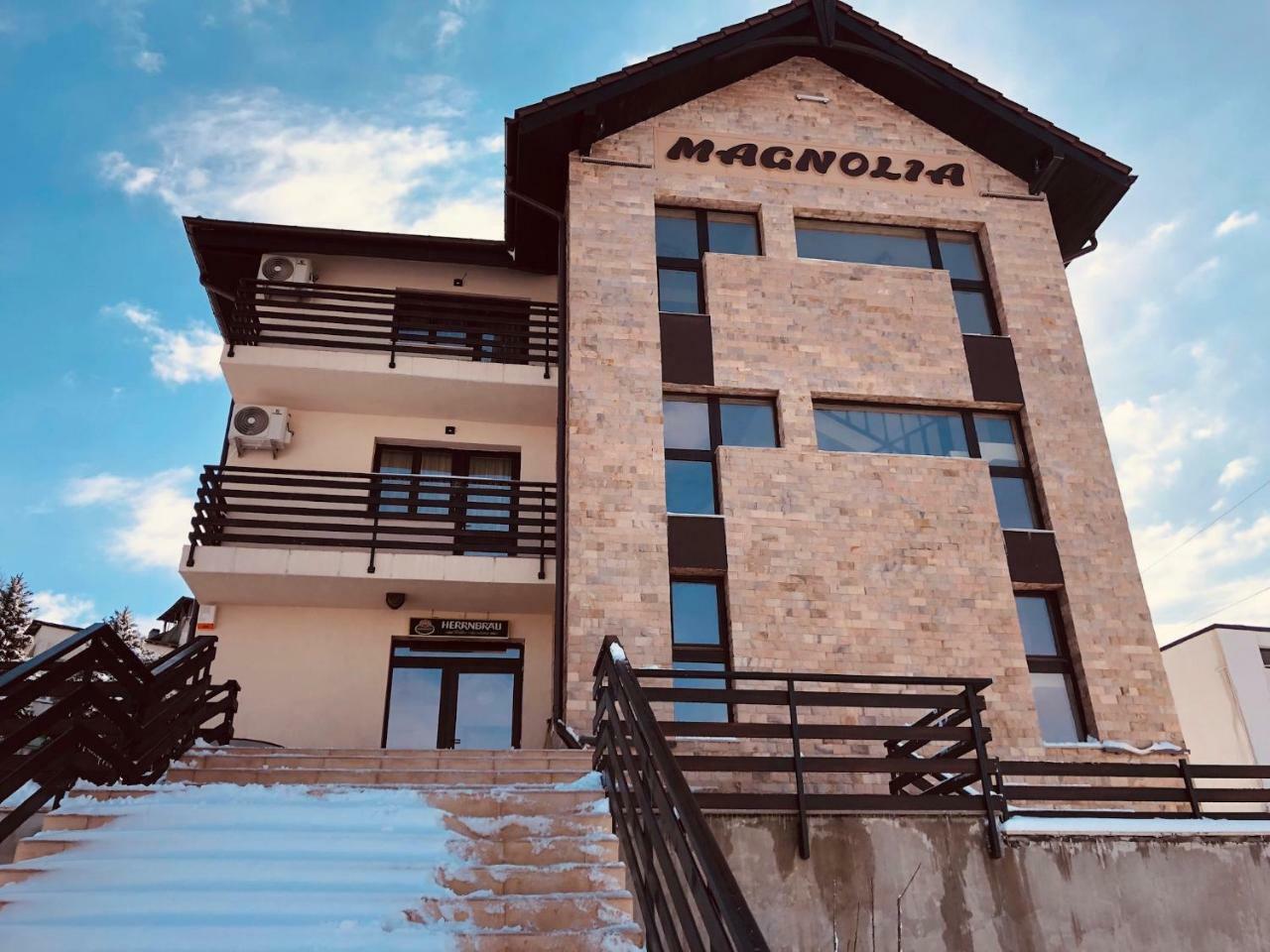 Pensiunea Magnolia Craiova Exterior foto