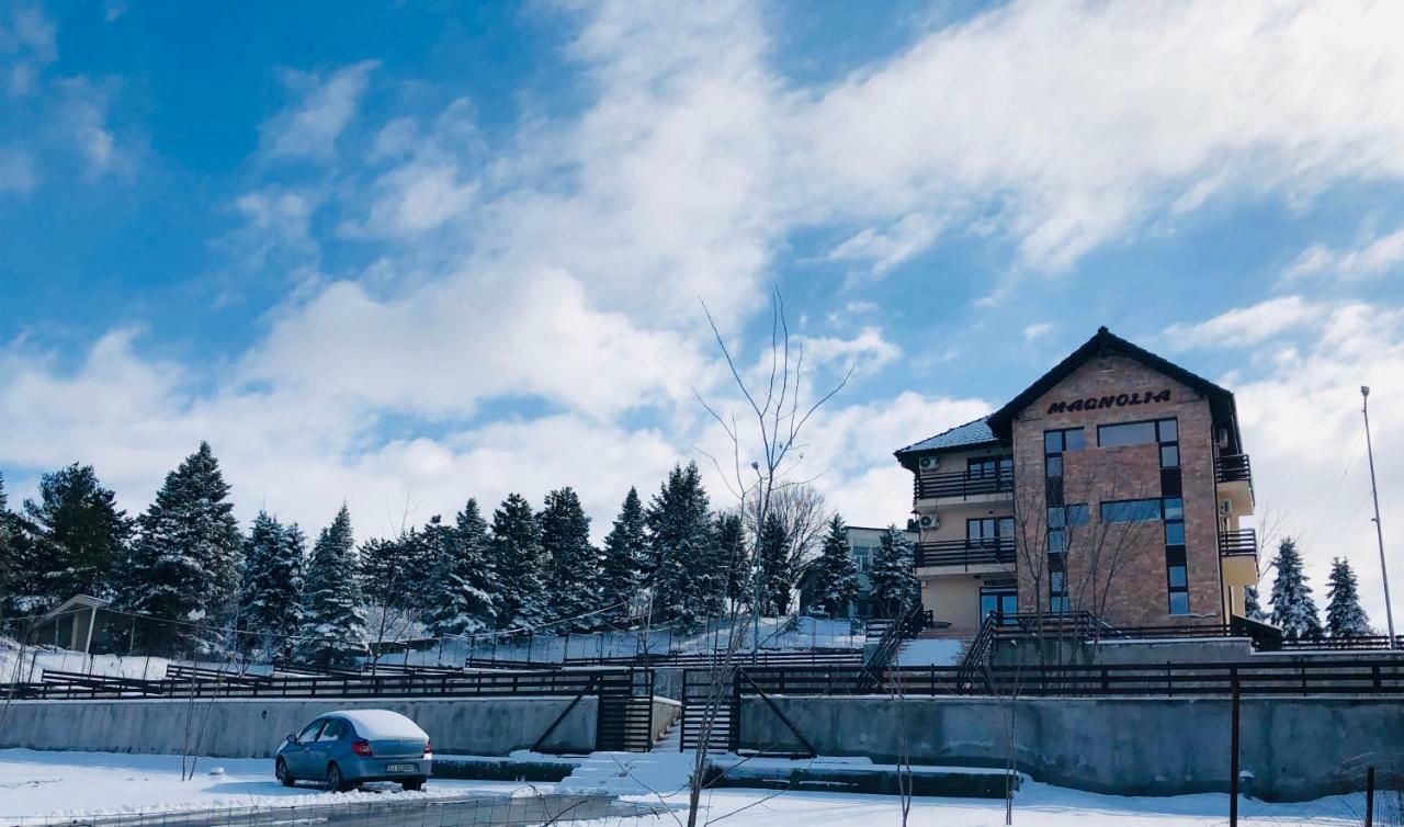 Pensiunea Magnolia Craiova Exterior foto
